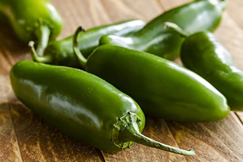 Sementes de Pimenta JALAPEÑO (25 sementes) Prademir - Lâmpadas de plantas e flores - 25 sementes, resistentes, capsicum annuum, cultura interior