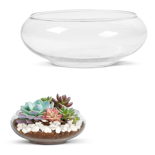 Vaso WINTER SHORE Bol de Flores para Terrário Plantas (Pack de 2) Winter Shore - Vasos e canteiros - 3 L, plástico, terrário, 2 unidades