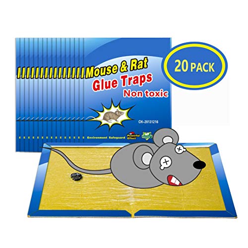 WEMK Rato Trap 20 Unidades Almofada Adesiva Super Adesivo Wemk - Controle de pragas - almofada adesiva, super adesivo, 20 unidades
