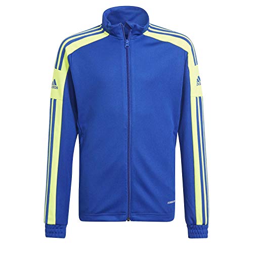 Casaco para Homem ADIDAS Sq21 Tr Jkt Azul para Esqui (XXL) adidas - Roupa de desporto - casaco, homem, ADIDAS, azul, esqui