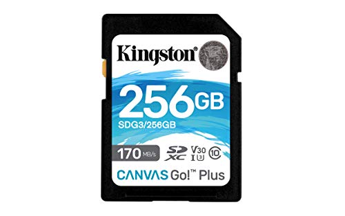 Cartão de Memória SD KINGSTON Canvas Go Plus (256 GB - Class 10, UHS-I, U3, V90) Kingston - Cartões de memória flash - 256 GB, Class 10, uhs-i, 170 mb/s