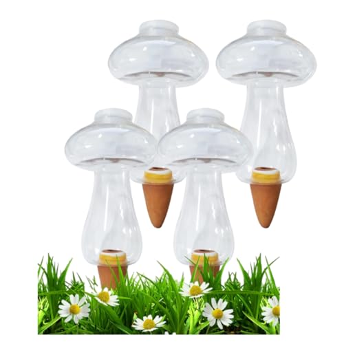 Conjunto de 4 Bolhas de Água Grande MLORDERAF MLordoarf - Eletrodomésticos - conjunto, bolhas, água grande