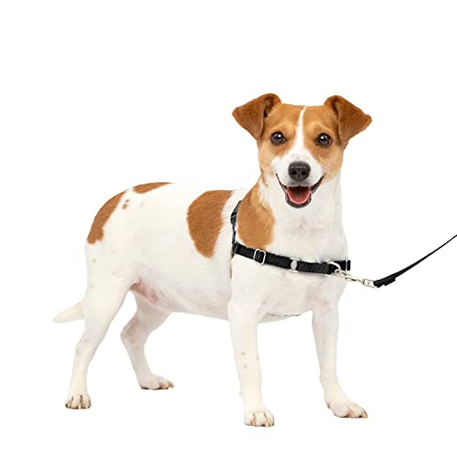 Peitoral para Cães NAYECO Easy Walk Preto (XS) EASYWALK - Coleiras e arnês para animais de estimação - preto, XS, cães