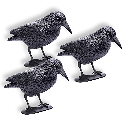 Figuras de Brincar SCHRAMM 3 Peças Corvos Sentados Schramm - Atraentes para a vida selvagem - 3 peças, corvos sentados, plástico realista, pés anti-saltitantes