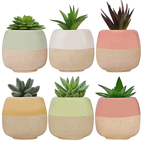 Mini Vasos Decorativos BELLE VOUS (Cerâmica - 6 x 5.5 cm) BELLE VOUS - Vasos e canteiros - cerâmica, decorativos, mini vasos
