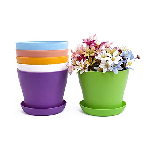 Conjunto de 6 Vasos TSK (Plástico - 20 cm) TSKDKIT - Vasos e canteiros - vasos, plástico, 20 cm