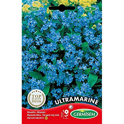 Sementes de Flores GERMISEM Ultramarine Alpine (0,5 g) GERMISEM - Sementes - ultramarine, alpine, germinação, luz diurna