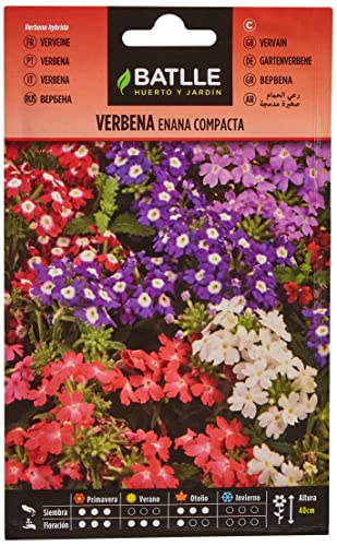 Sementes BATLLE Verbena Enana Compacta (1 g) BATLLE - Sementes - verbena, enana compacta, 1 g
