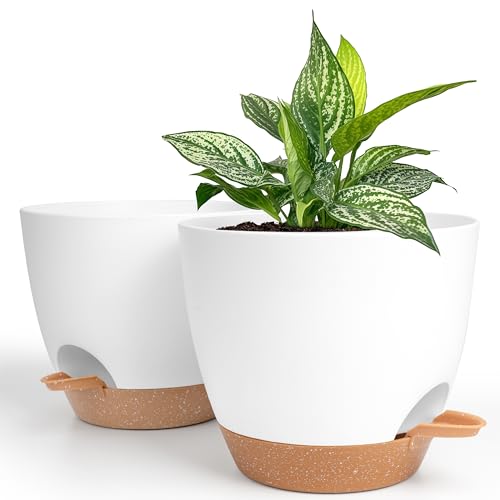 Vaso WINTER SHORE (Branco - Polipropileno - 20x20 cm) Winter Shore - Vasos e canteiros - branco, polipropileno, 20x20 cm, resistente à ferrugem